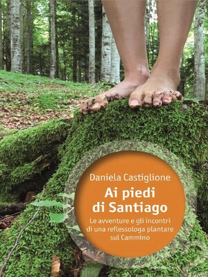 cover image of Ai piedi di Santiago